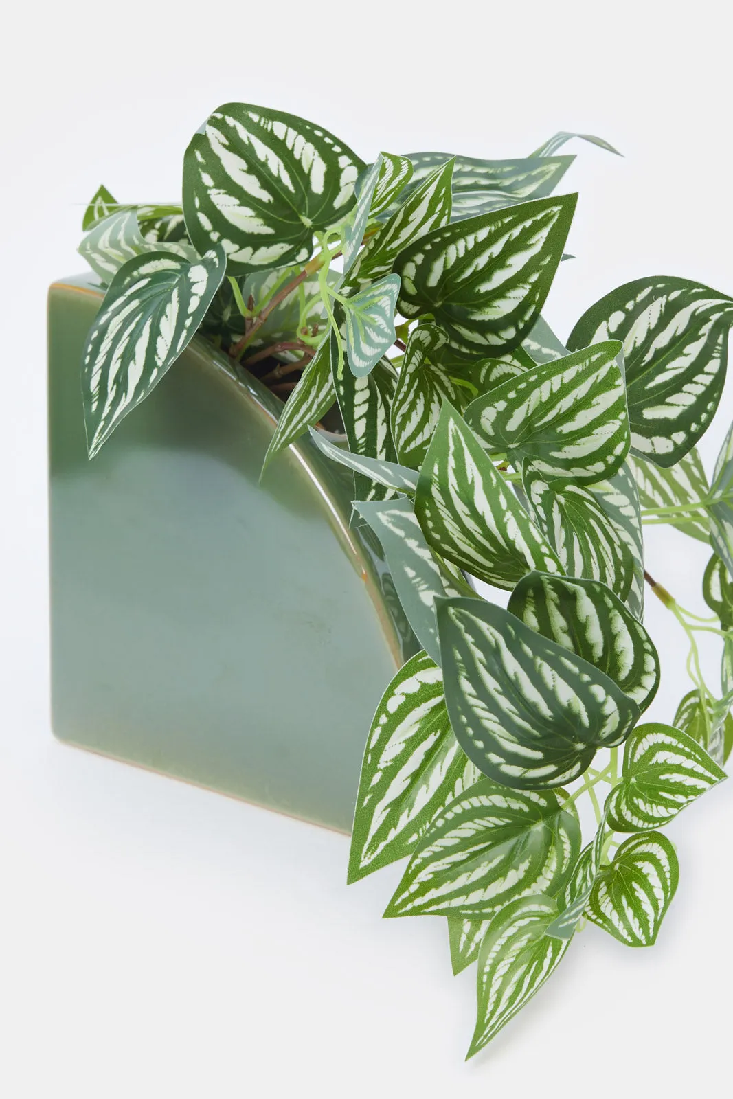 Artificial Creeper Plant In Ceramic Pot