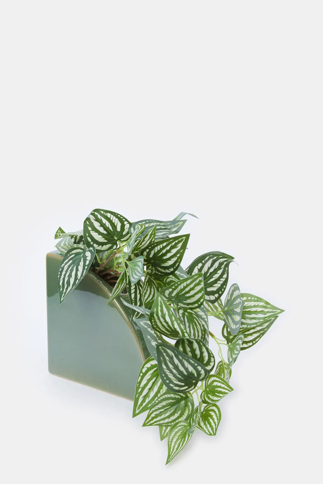 Artificial Creeper Plant In Ceramic Pot