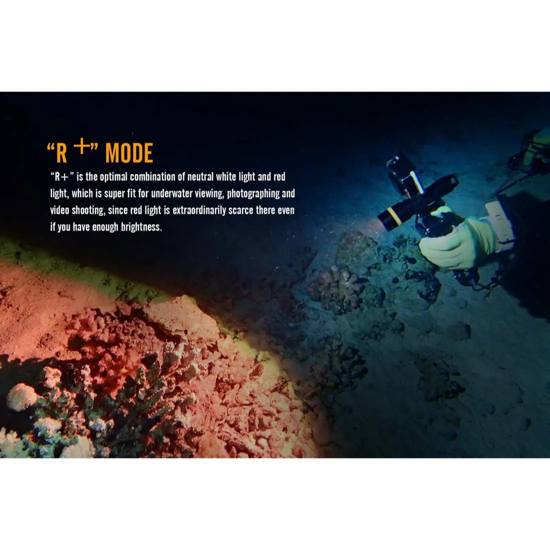 Fenix SD11 XM-L2 U2 Diving Photographic Light 1000 Lumen