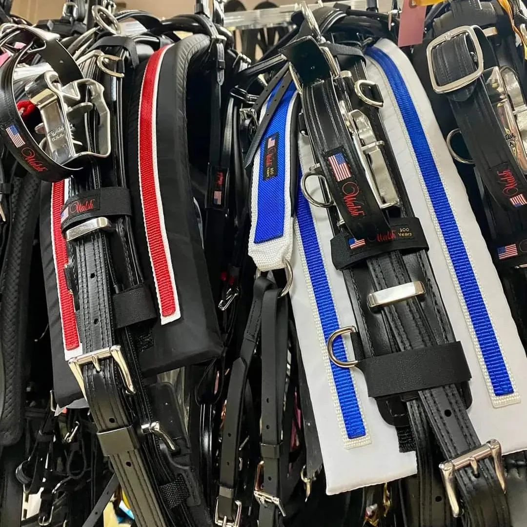 PRO II 1800 Harness - Complete - US Style - 1800H